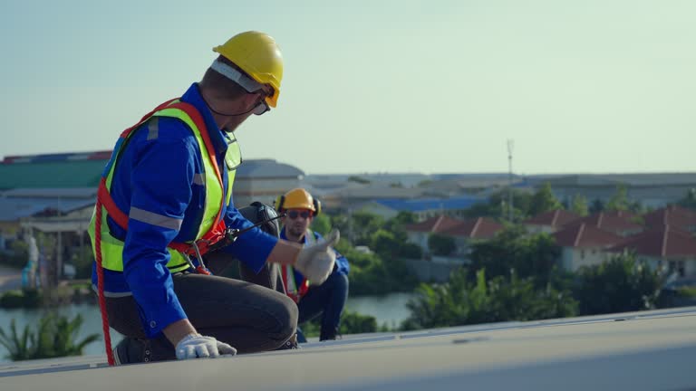 Best Sheet Metal Roofing  in Tavernier, FL